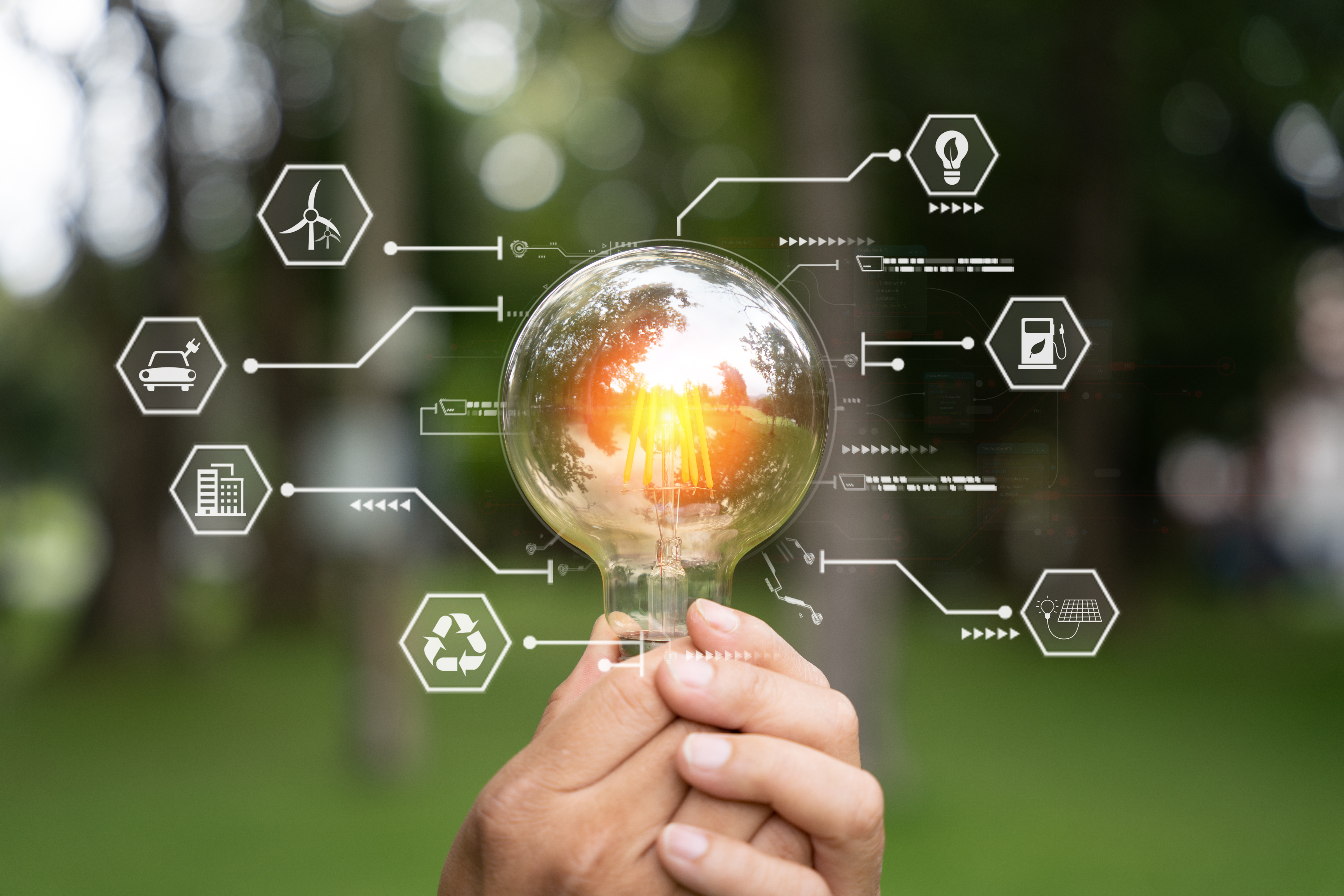Gestión sostenible de energía y agua en AVIDESA; implementamos tecnologías eficientes, medición de huella hídrica y carbono, y formación del personal para optimizar recursos en toda la cadena productiva.